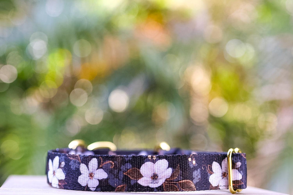 Martingale Dog Collar - Midnight Cherry Blossoms-Dog Collar-Dizzy Dog Collars