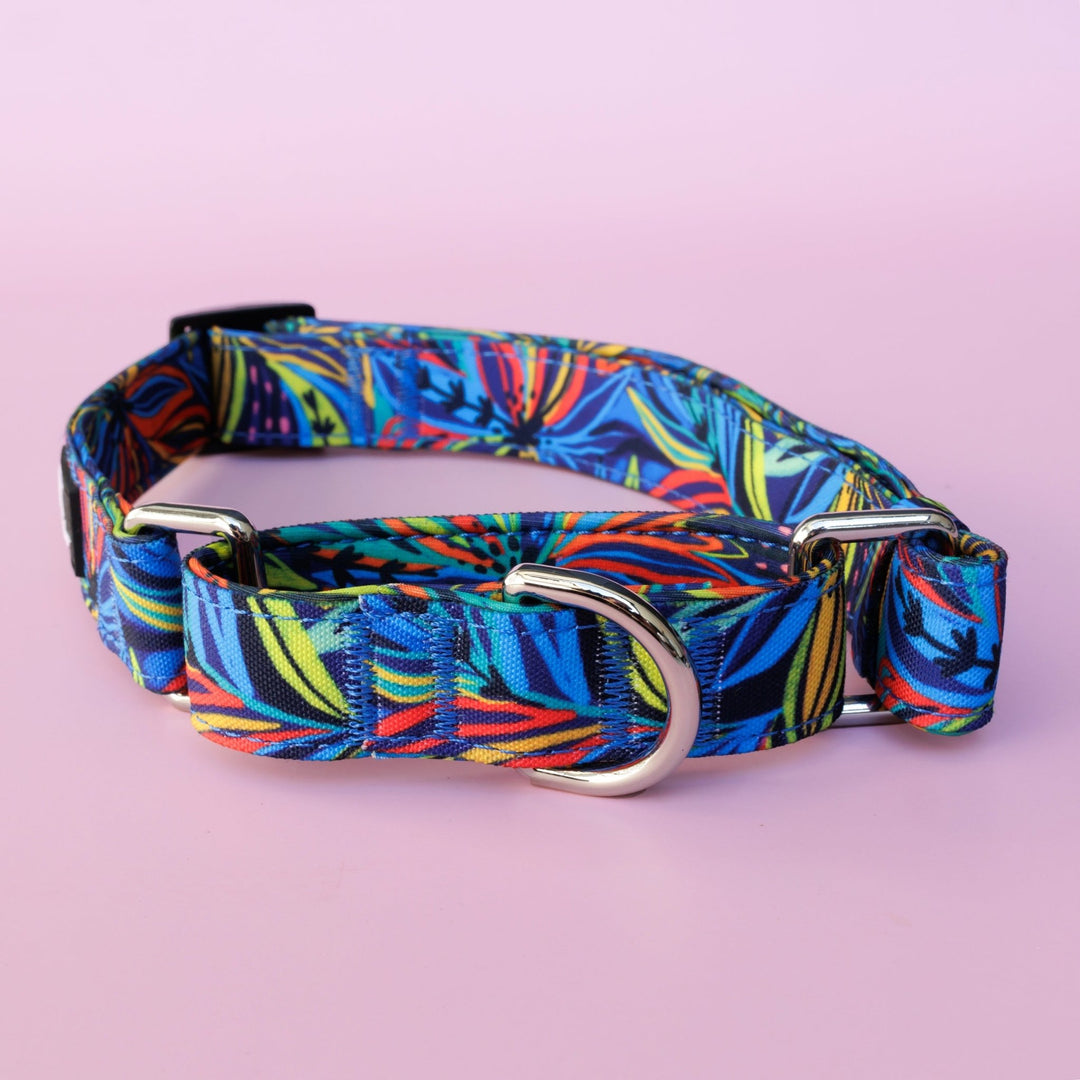 Martingale Dog Collar | Oasis-Dog Collar-Dizzy Dog Collars