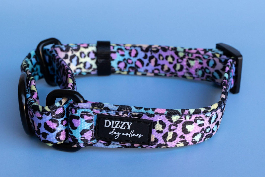 Martingale Dog Collar - Ombre Leopard Print-Dog Collar-Dizzy Dog Collars