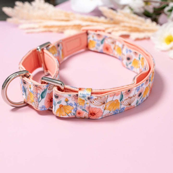 Martingale Dog Collar | Peachy Posies-Dog Collar-Dizzy Dog Collars