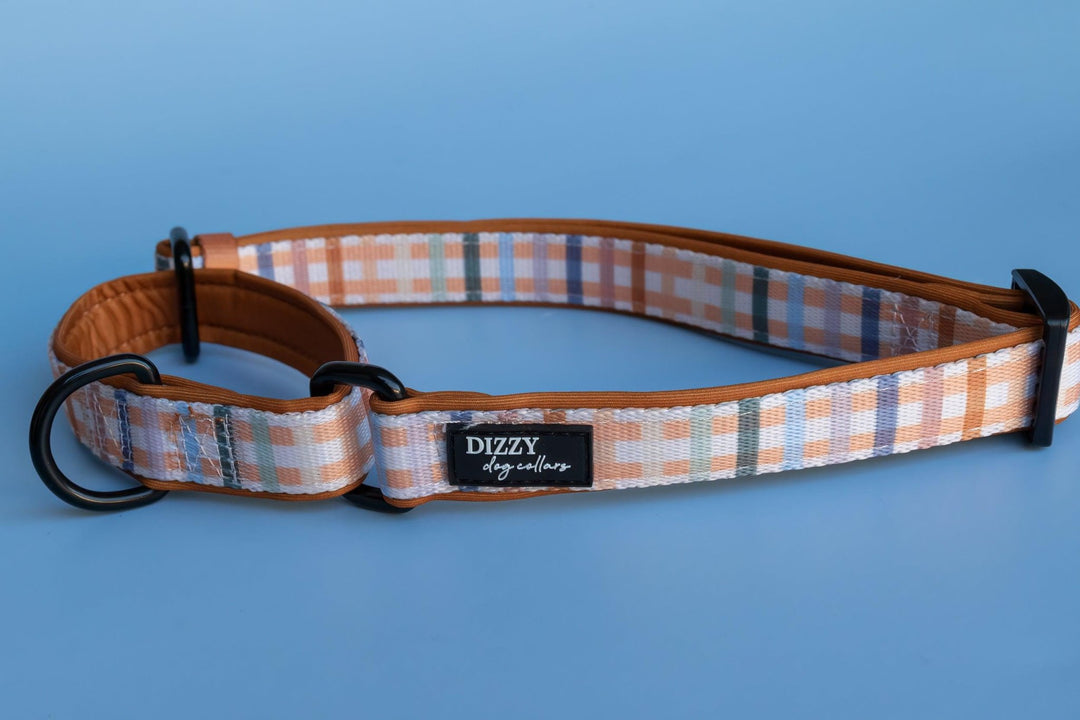 Martingale Dog Collar - Vintage Gingham-Dog Collar-Dizzy Dog Collars