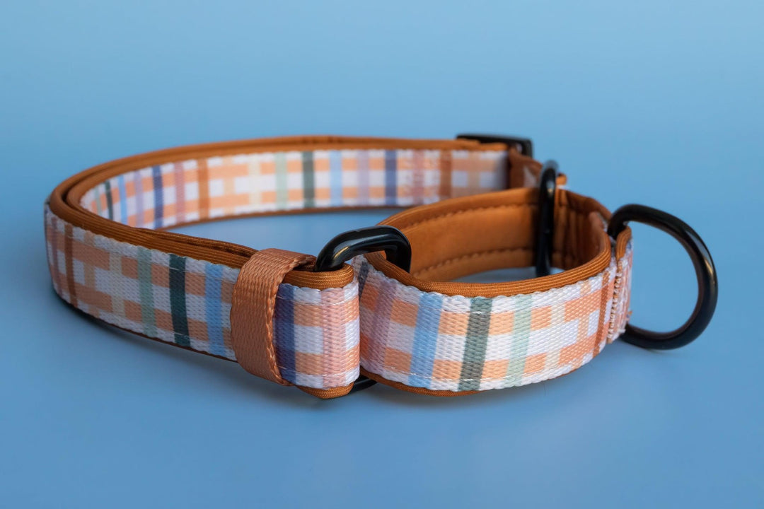 Martingale Dog Collar - Vintage Gingham-Dog Collar-Dizzy Dog Collars