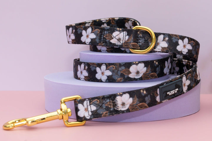 Midnight Cherry Blossoms Dog Leash, Fully Padded Dog Lead-Dizzy Dog Collars