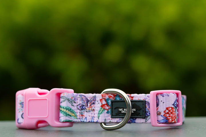 Molly & Polly Dog Collar "Value Range"-Dog Collar-Dizzy Dog Collars