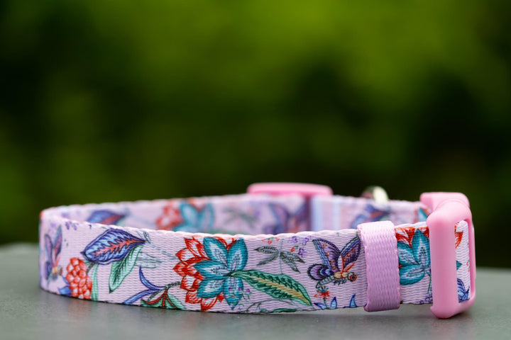 Molly & Polly Dog Collar "Value Range"-Dog Collar-Dizzy Dog Collars