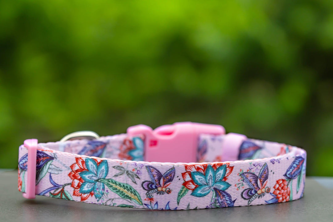 Molly & Polly Dog Collar "Value Range"-Dog Collar-Dizzy Dog Collars