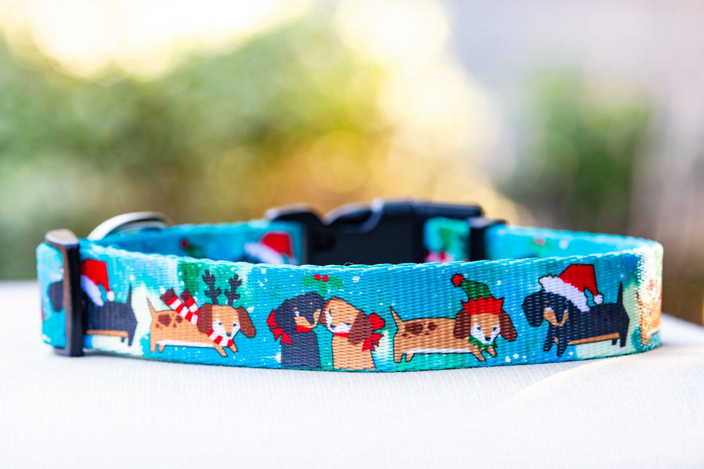 Mutts 'n' Mistletoe Dog Collar / Christmas Dog Collar (Premade)-Dog Collar-Dizzy Dog Collars