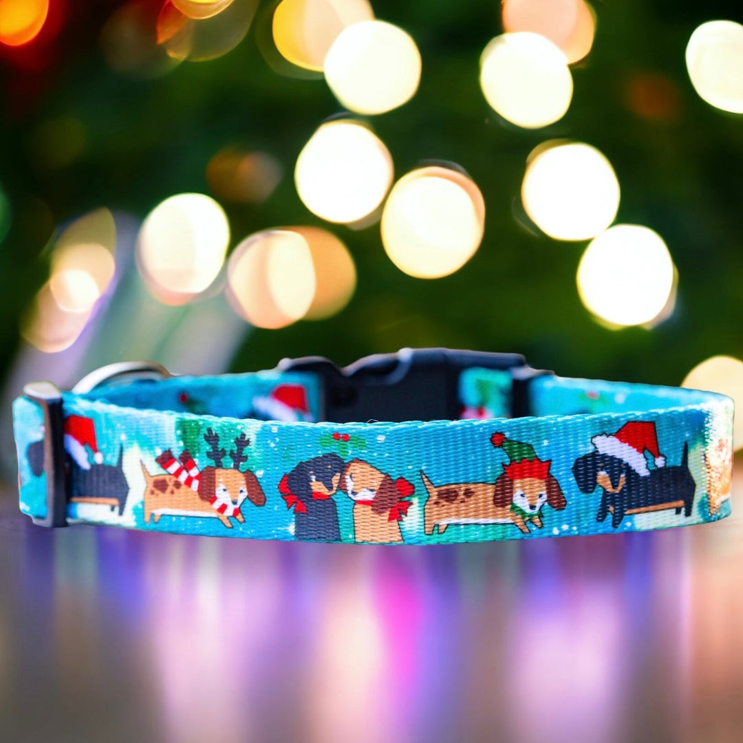 Mutts 'n' Mistletoe Dog Collar-Dog Collar-Dizzy Dog Collars