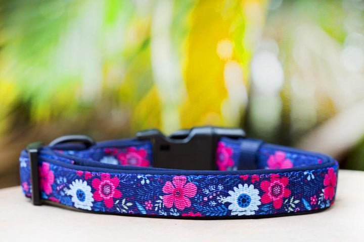 navy floral dog collar