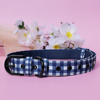 Navy Gingham Belt Buckle Dog Collar | Canvas & Neoprene-Dog Collar-Dizzy Dog Collars