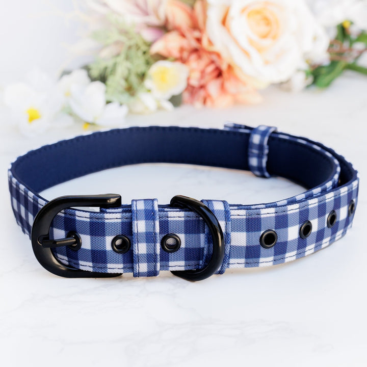 Navy Gingham Belt Buckle Dog Collar | Canvas & Neoprene-Dog Collar-Dizzy Dog Collars