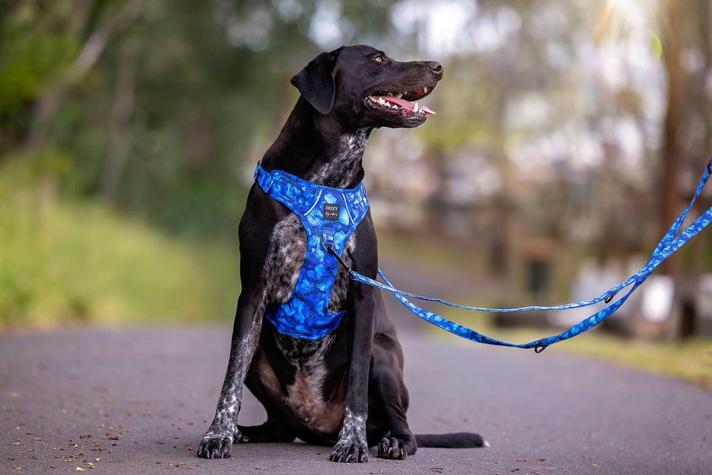 No Pull Dog Harness | Step in | Reflective | Heavy Duty | Easy Reach Handle | Blue Marble-Dizzy Dog Collars