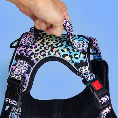 No Pull Dog Harness | Step in | Reflective | Heavy Duty | Easy Reach Handle | Ombre Leopard-Dizzy Dog Collars