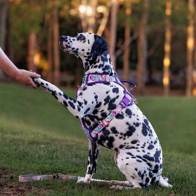 No Pull Dog Harness | Step in | Reflective | Heavy Duty | Easy Reach Handle | The Willow-No Pull-Dizzy Dog Collars