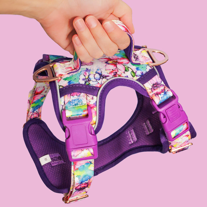 This image features a hand holding a dog harness with a vibrant floral design against a pink background. The harness includes a purple mesh base, adjustable straps with pink and purple buckles, and rose gold metal rings for leash attachment. The colorful print on the harness combines various hues like pink, blue, purple, and green, creating a striking visual effect. A solid purple handle on top of the harness provides ease of control and maneuverability for the owner.