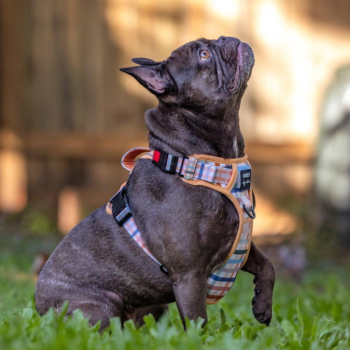 No Pull Dog Harness | Step in | Reflective | Heavy Duty | Easy Reach Handle | Vintage Gingham-Dizzy Dog Collars