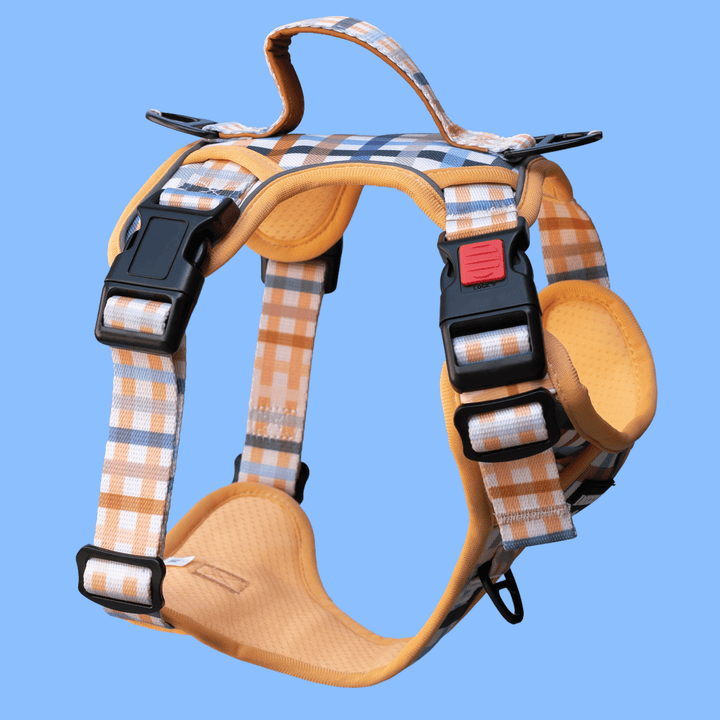 No Pull Dog Harness | Step in | Reflective | Heavy Duty | Easy Reach Handle | Vintage Gingham-No Pull-Dizzy Dog Collars