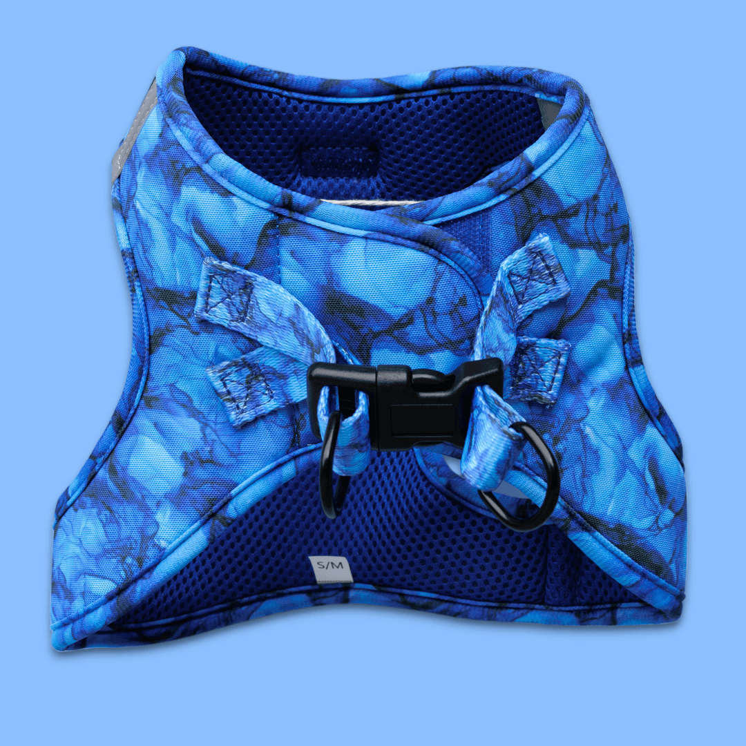 COMING SOON | No Pull, Step In Harness | Suitable for XS to Medium Dogs and Cats | Blue Marble-Harness-Dizzy Dog Collars