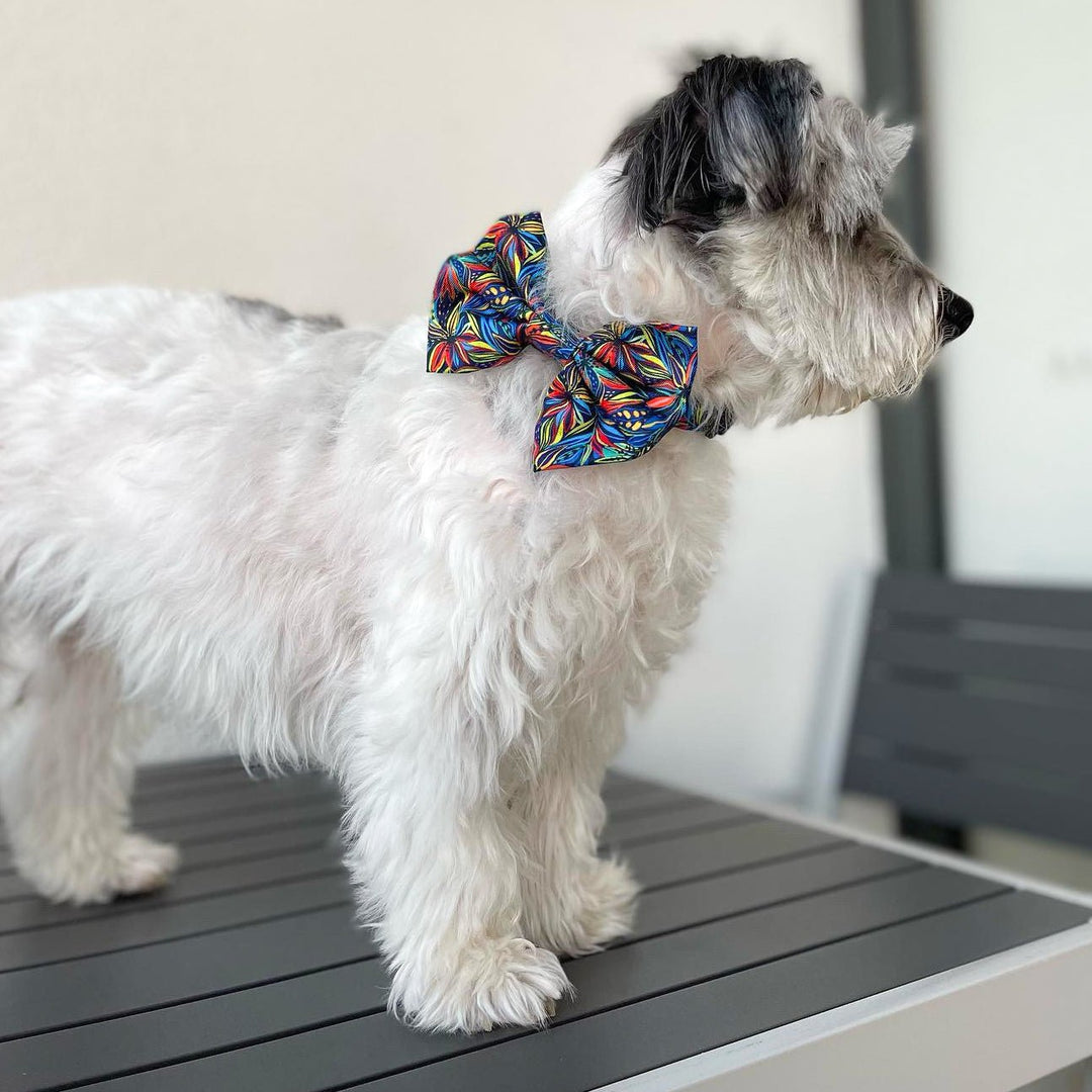 Oasis Bow Tie-Dizzy Dog Collars