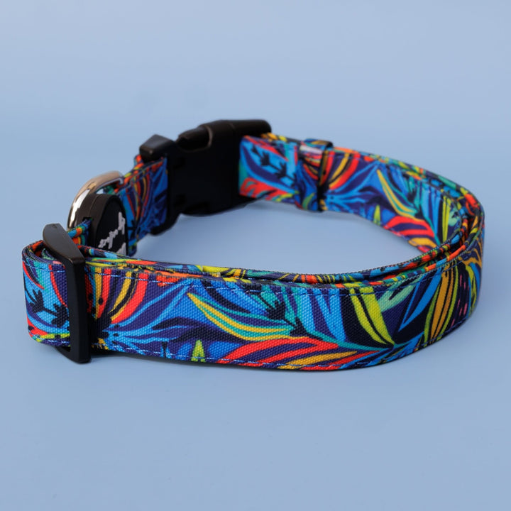 Oasis | Canvas & Neoprene Dog Collar-Dog Collar-Dizzy Dog Collars