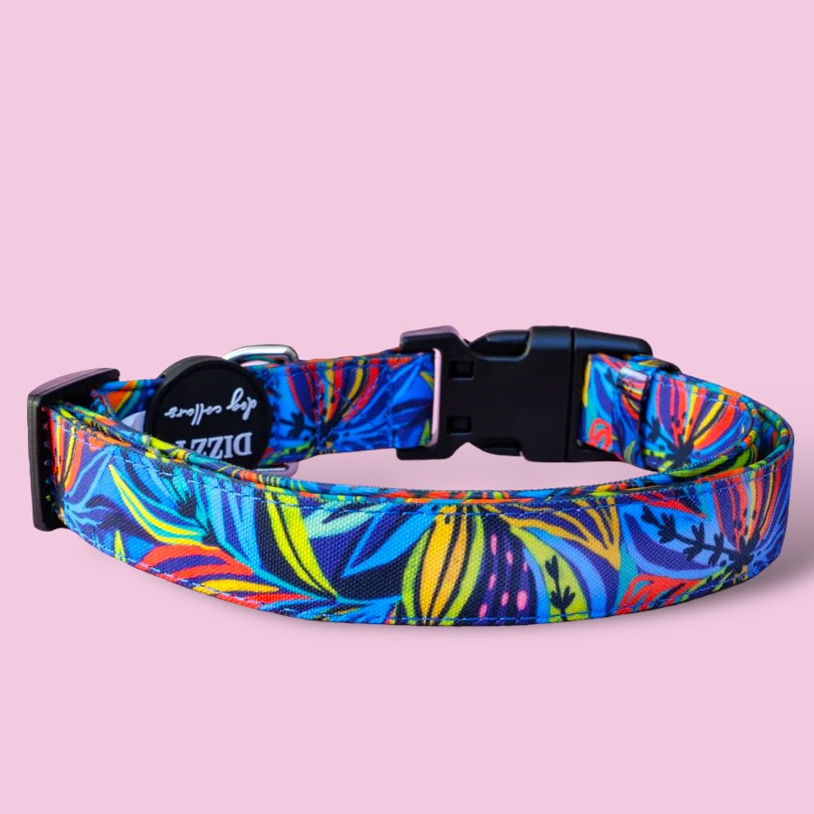 Oasis | Canvas & Neoprene Dog Collar-Dog Collar-Dizzy Dog Collars