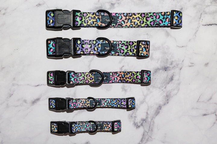 Ombre Leopard Dog Collar "Value Range"-Dog Collar-Dizzy Dog Collars