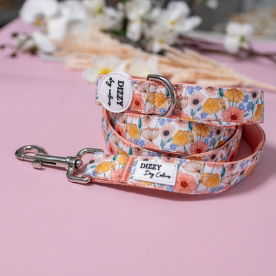 Peachy Posies Dog Leash | Canvas & Neoprene | Premium Quality Fully Padded Leash-Leash-Dizzy Dog Collars