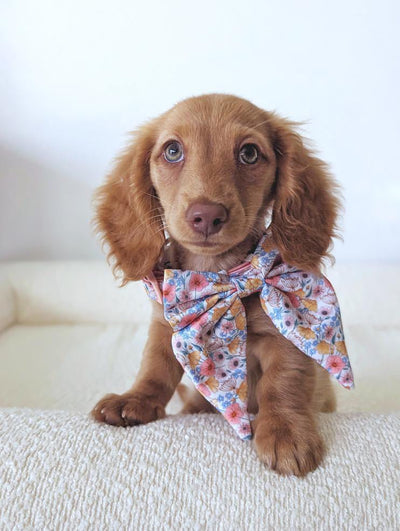 Peachy Posies Sailor Bow Tie | Peach Floral Bow-Dizzy Dog Collars