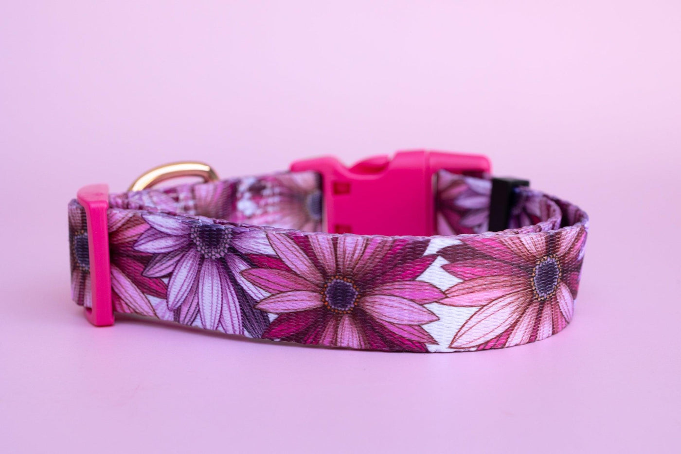 Perfect Petals Dog Collar | Value Range Dog Collar-Dog Collar-Dizzy Dog Collars