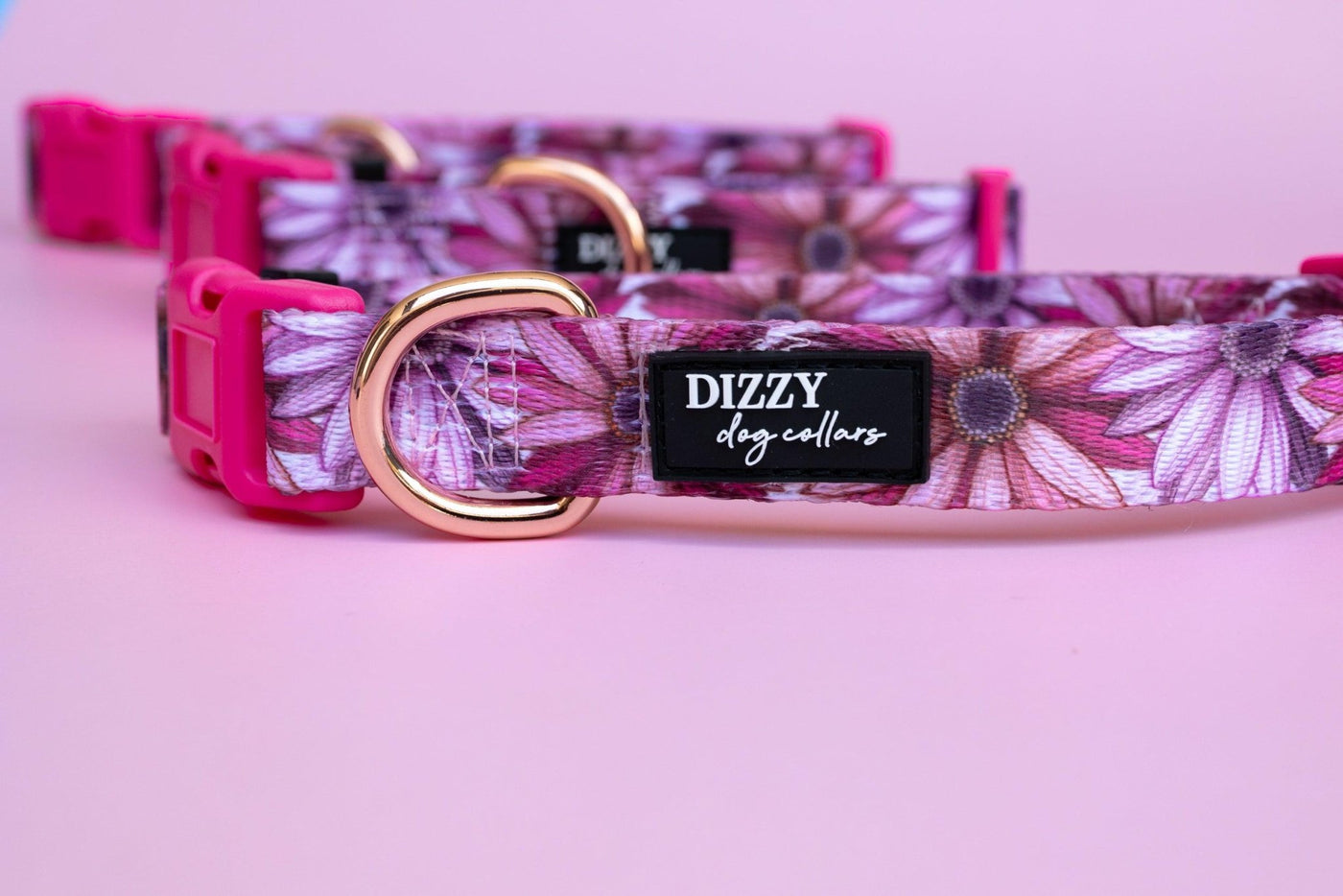 Perfect Petals Dog Collar | Value Range Dog Collar-Dog Collar-Dizzy Dog Collars