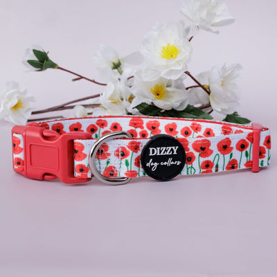 Poppies Dog Collar | Neoprene Dog Collar