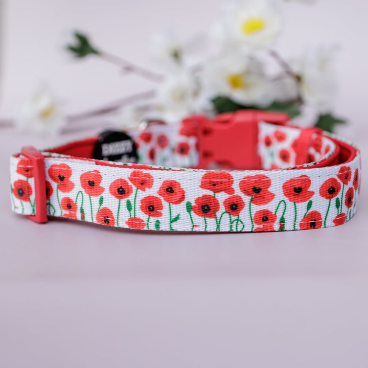 Poppies Dog Collar | Neoprene Dog Collar