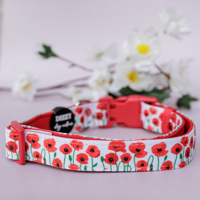 Poppies Dog Collar | Neoprene Dog Collar