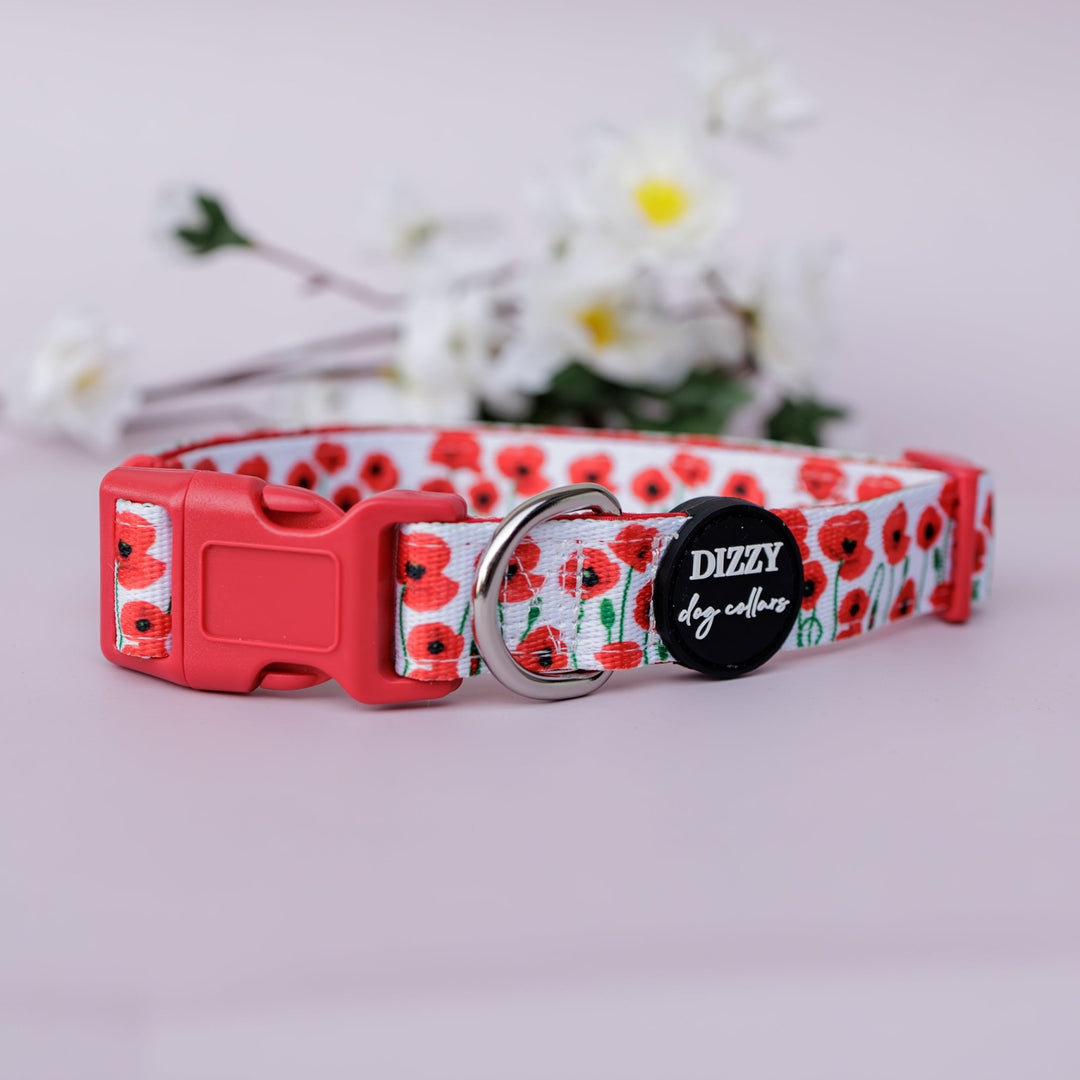 Poppies Dog Collar | Neoprene Dog Collar