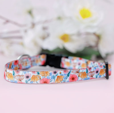 A close-up view of a Peachy Posies Floral pet collar with a delicate floral pattern in soft peachy hues, featuring a black buckle and silver D-ring, placed against a blurred background of white flowers