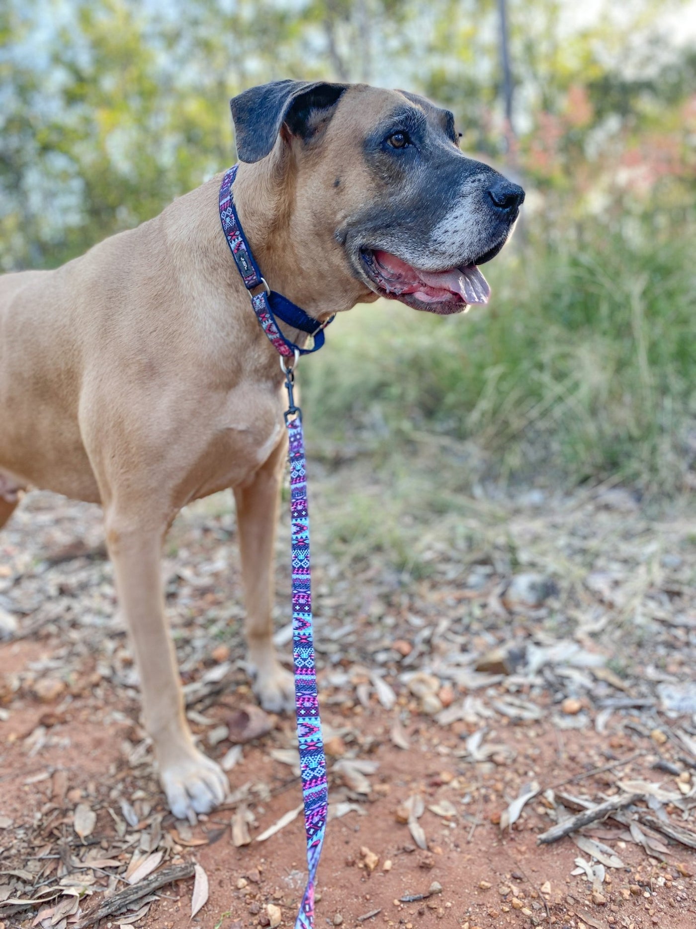 Purple Aztec Dog Leash-Leash-Dizzy Dog Collars