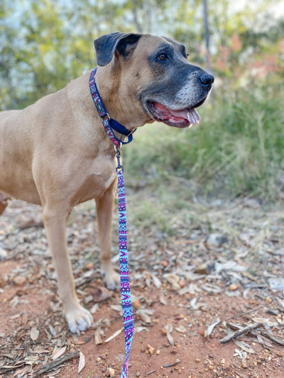 Purple Aztec Dog Leash-Leash-Dizzy Dog Collars