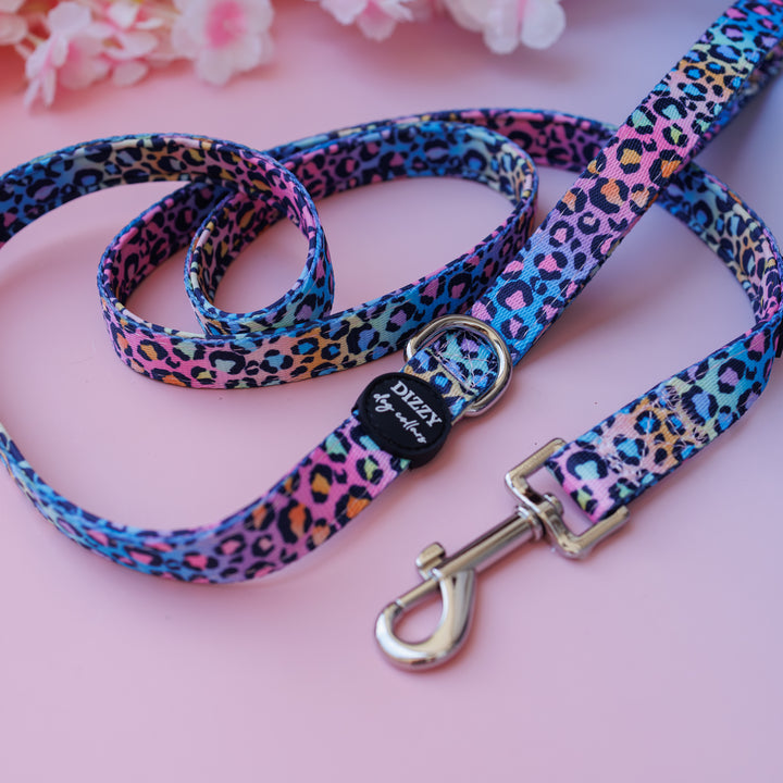 Rainbow Ombre Leopard Dog Leash | Premium Quality Fully Padded Dog Lead