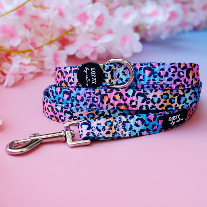 Rainbow Ombre Leopard Dog Leash | Premium Quality Fully Padded Dog Lead