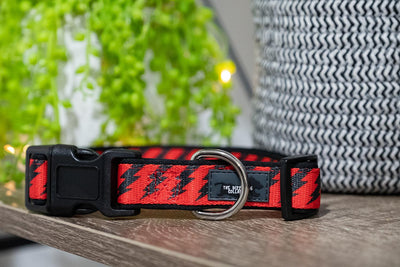 Red & Black Bolt Dog Collar (Neoprene)-Dizzy Dog Collars-Dizzy Dog Collars