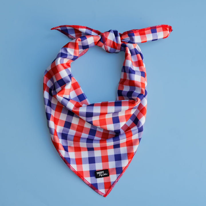 A red, white, and blue gingham-patterned dog bandana with a tied knot, displayed flat on a light blue background. The Dizzy Dog Collars logo is visible on the bottom edge of the bandana