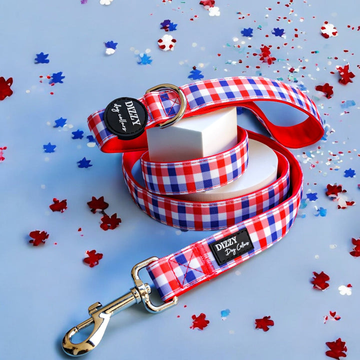 Red, white, and blue gingham-patterned dog leash with a black Dizzy Dog Collars logo, silver D-ring, and metal clasp. The leash is coiled around a white block on a light blue background, with red, white, and blue floral confetti scattered around