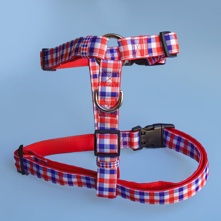 Red, white, and blue gingham-patterned H-harness with a black buckle, silver D-ring, and red padded underside, displayed on a light blue background