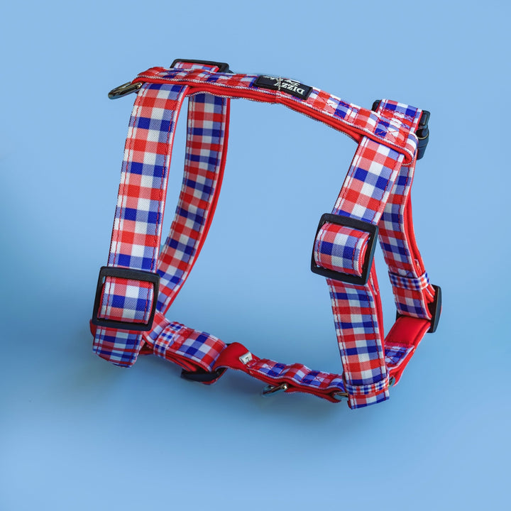 Red, white, and blue gingham-patterned H-harness with adjustable black buckles and silver hardware, displayed against a light blue background