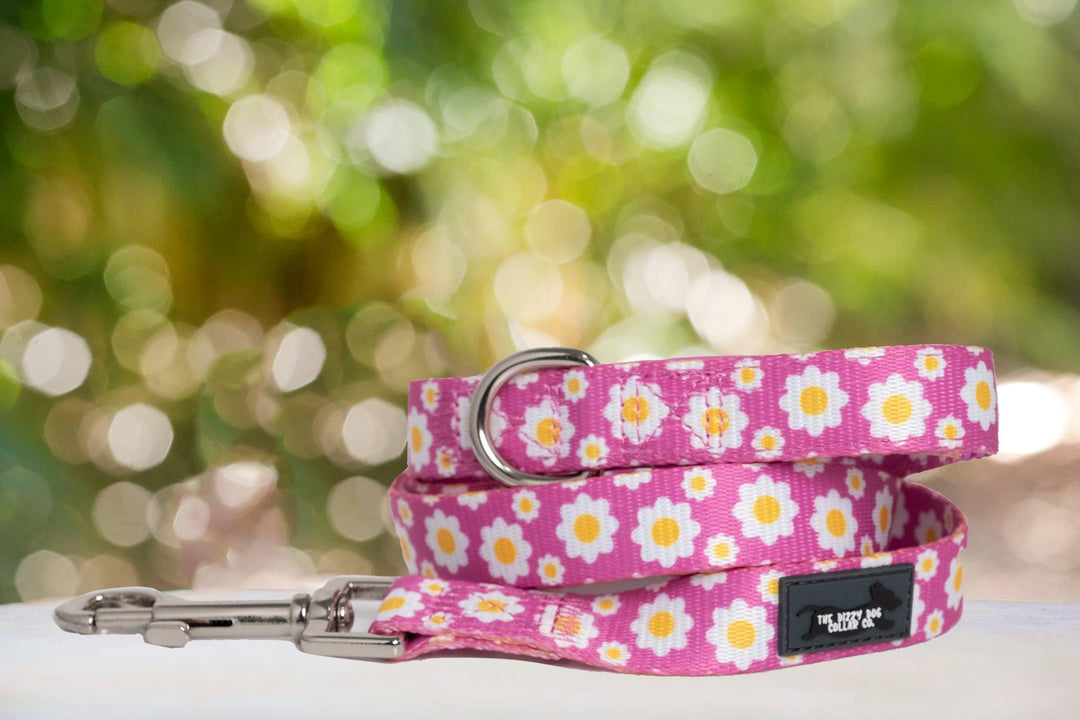 Retro Daisies Dog Leash (Neoprene)-Dizzy Dog Collars-Dizzy Dog Collars