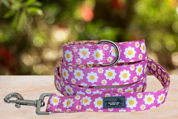 Pink daisy dog collar sale