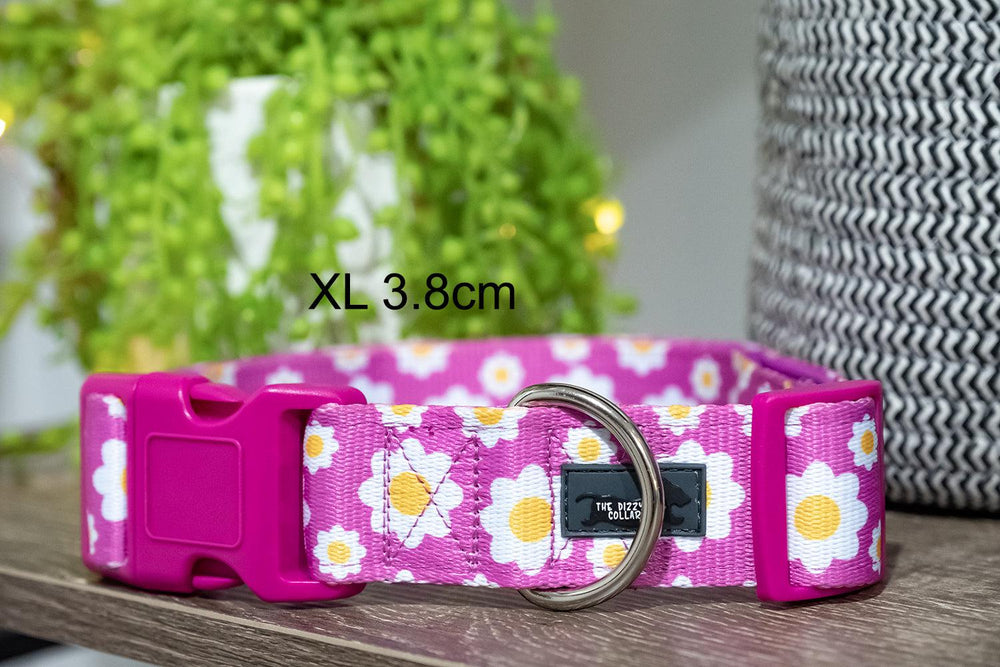 Retro Pink Daisy Dog Collar (Neoprene)-Dizzy Dog Collars-Dizzy Dog Collars