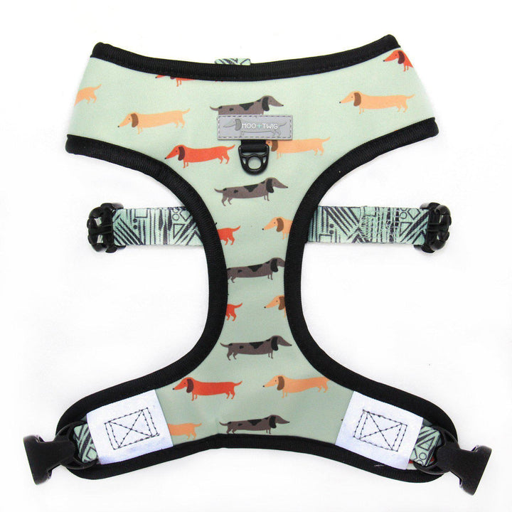 Dachshund Dog Harness - Dachshund Wearing Dog Harness - Best Dog Harness for Dachshunds