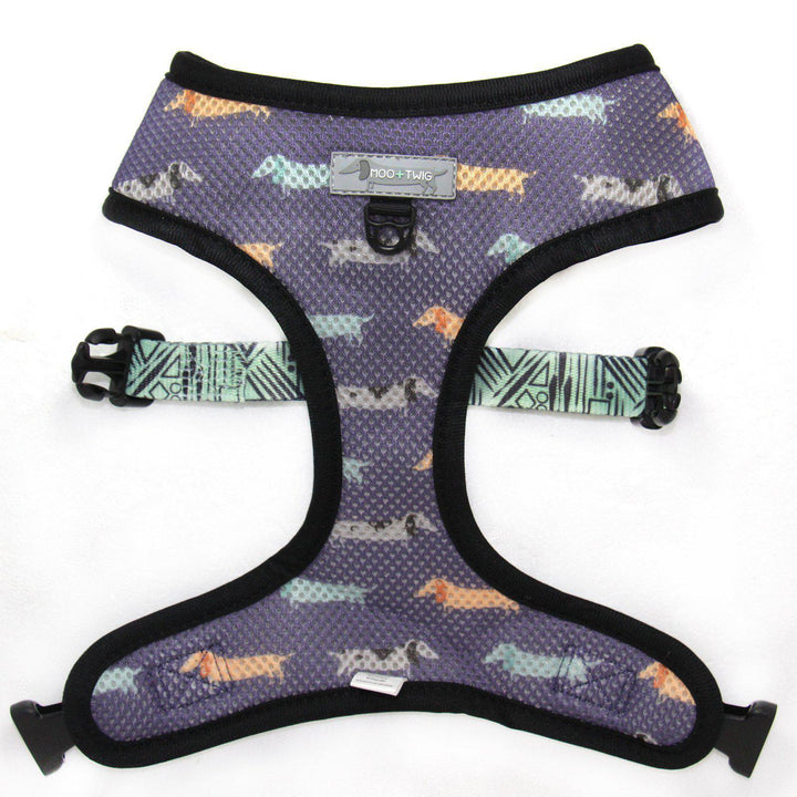 Dachshund Dog Harness - Dachshund Wearing Dog Harness - Best Dog Harness for Dachshunds