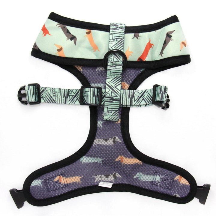 Dachshund Dog Harness - Dachshund Wearing Dog Harness - Best Dog Harness for Dachshunds